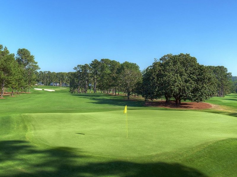 골프 패키지여행 (출처=연합뉴스)