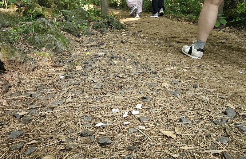 [제주=뉴시스] 임재영 기자 = 1일 오전 한라산국립공원 관음사탐방로 입구 주변에는 정상 출입용 손목 밴드인 '띠지'를 부착하면서 발생하는 스티커 조각들이 버려져 있다. 2025.06.02. ijy788@newsis.com
