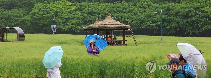 제주·남해안 중심 전국에 비…낮 최고 19∼27도 (출처=연합뉴스)