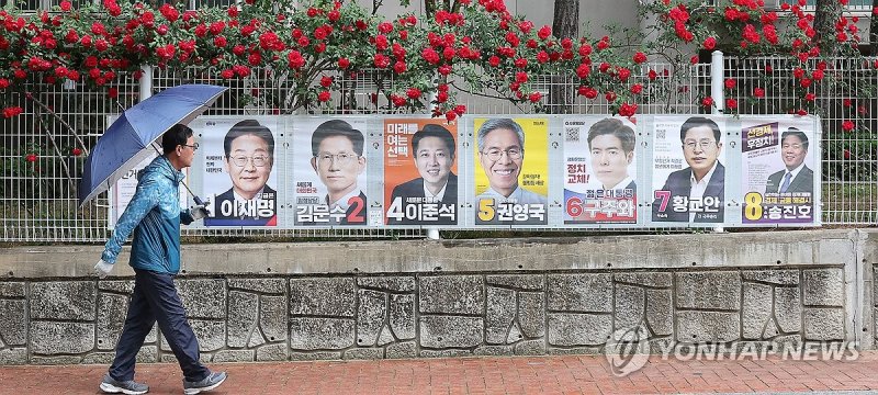 장미꽃과 대선 선거 벽보 (출처=연합뉴스)