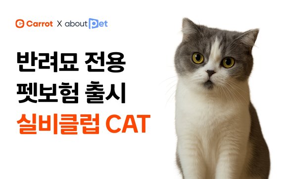 캐롯, 어바웃펫과 함께 반려묘 전용 펫보험 출시