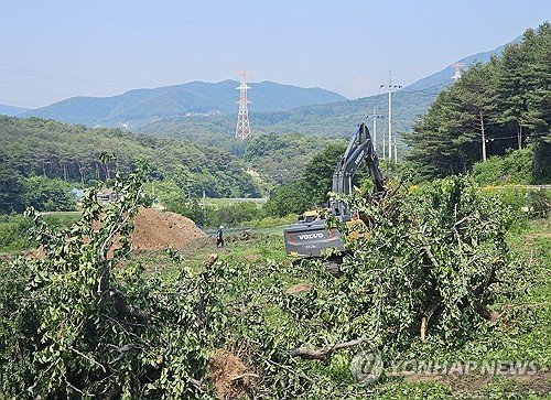 과수화상병 매몰작업 (출처=연합뉴스)