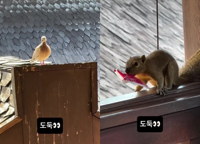 고윤정, '언슬전' 포상휴가서 도둑 만났다