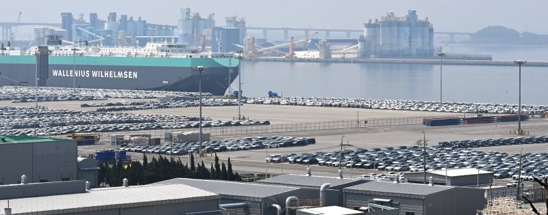 [평택=뉴시스] 김종택 기자 = 경기 평택항 모습. 2025.06.01. jtk@newsis.com