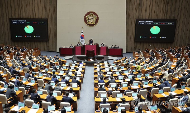 2025년도 1차 추경안 국회 본회의 통과 (출처=연합뉴스)