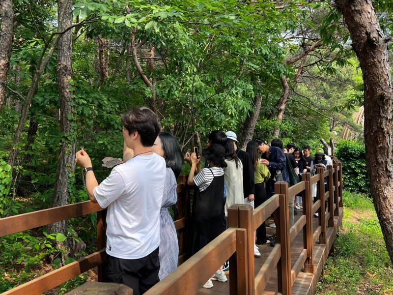 국립대전숲체원에서 임신부부가 숲태교 프로그램에 참여하고 있다. (산림청 한국산림복지진흥원 국립대전숲체원 제공.재판매 및 DB금지)/뉴스1