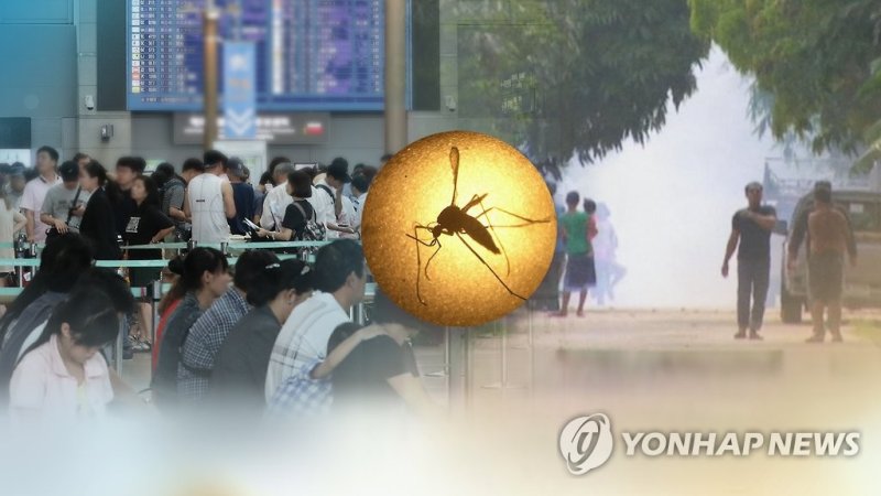 '황금연휴'에 동남아 여행 증가…"감염병 주의해야"(CG) (출처=연합뉴스)