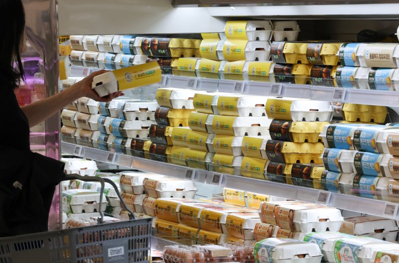 계란과 돼지고기 등 일부 축산물을 중심으로 물가가 오르고 있다. 정부가 대책 마련에 나섰지만 대형 산불 사태와 가축전염병, 글로벌 원자재 가격 상승 등 외부 변수로 물가 추이를 예상하기 어려운 상황이다. 지난 11일 축산물품질평가원 축산유통정보에 따르면 지난 8일 기준 계란 특란 한 판(30구) 가격은 평균 6999원으로 전년(6667원)과 평년(6544원) 대비 각각 5.0%, 7.0% 높은 수준을 기록했다. 사진은 13일 서울 시대 한 대형마트 내 진열된 계란. 2025.5.13/뉴스1 ⓒ News1 허경 기자