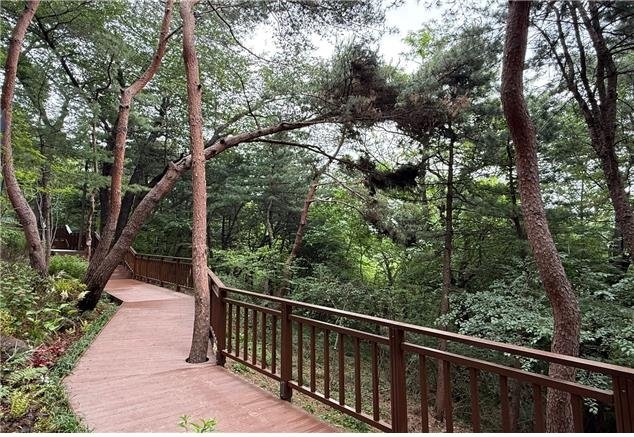 산책데크 (출처=연합뉴스)