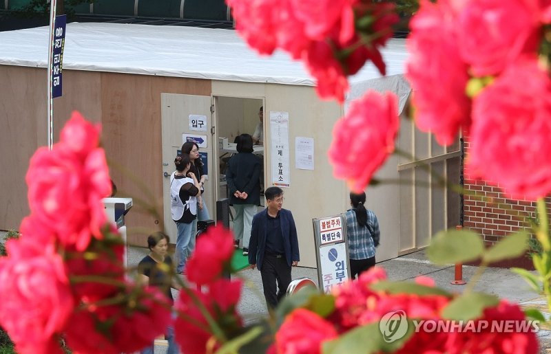 장미 대선 (출처=연합뉴스)