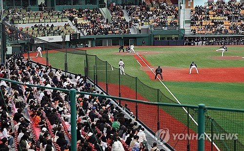 프로야구 시범경기가 열리고 있는 청주야구장 (출처=연합뉴스)