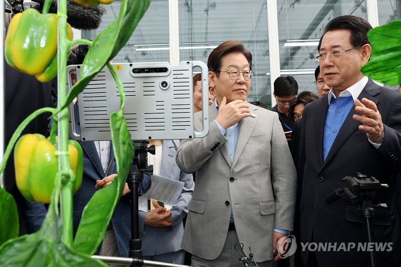 나주 에너지온실 찾은 이재명 후보 (출처=연합뉴스)