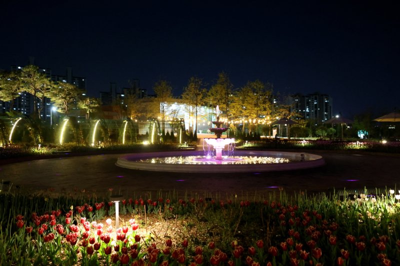 [바카라 토토 사이트=뉴시스] 일월수목원 야간 개장. (사진=바카라 토토 사이트시 제공) 2025.06.04. photo@newsis.com *재판매 및 DB 금지