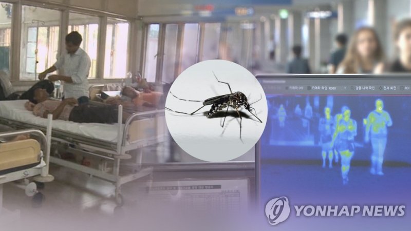 2년만의 국내 지카바이러스 감염환자…동남아 방문 '모기주의령' (출처=연합뉴스)