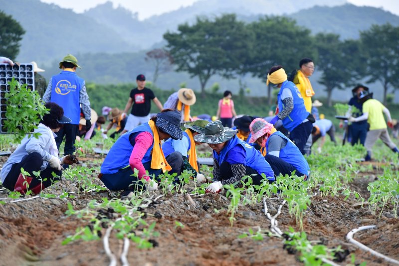 귀농귀촌인 농촌 체험 활동 장면(자료사진) /뉴스1ⓒ News1