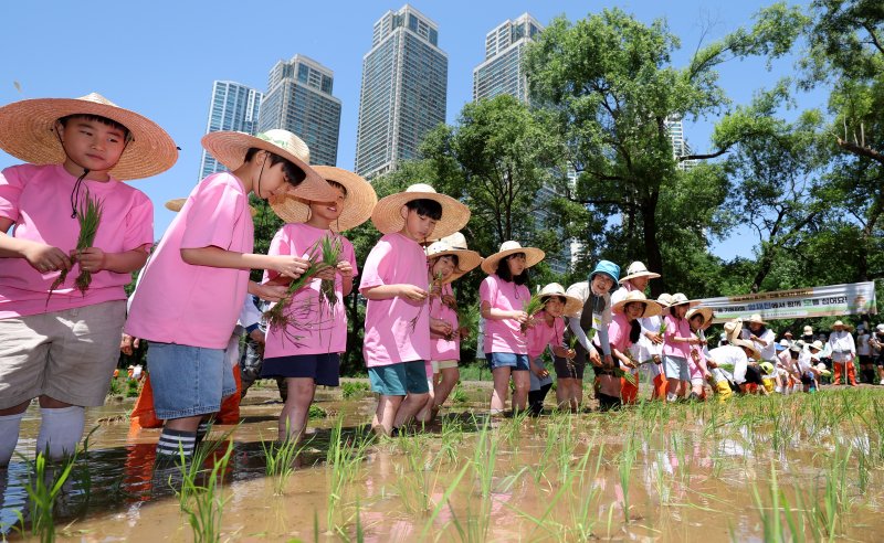 [서울=뉴시스] 추상철 기자 = 4일 오전 서울 강남구 양재천 벼농사 학습장에서 열린 '도심 속 전통 모내기 행사'에서 어린이들이 모내기 체험을 하고 있다. 2025.06.04. scchoo@newsis.com