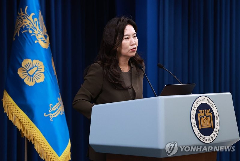 강유정 대통령실 대변인 현안 브리핑 (출처=연합뉴스)