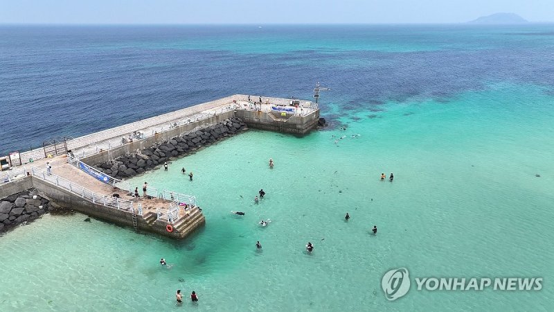 스노클링의 계절이 왔다 (출처=연합뉴스)