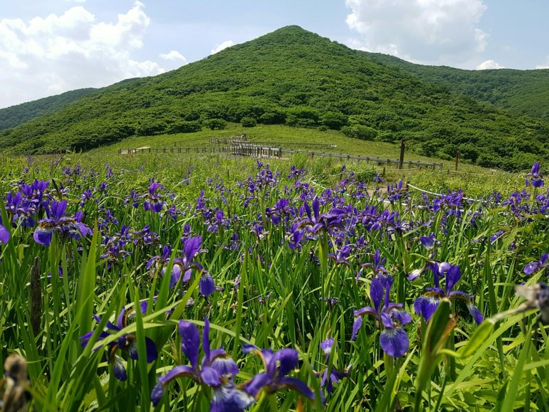 산림유전자원보호구역 곰배령 정상 모습 (산림청 제공.재판매 및 DB금지)/뉴스1