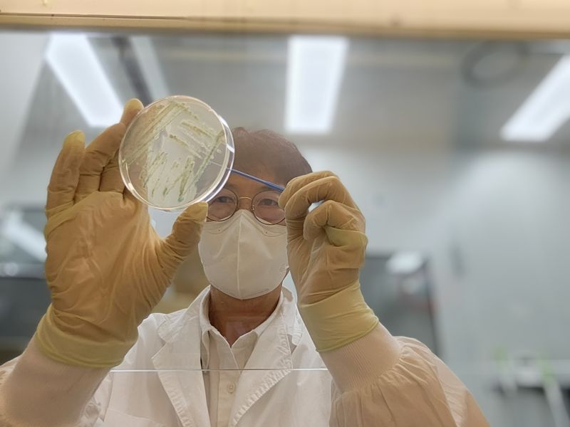경기도, 5월 해수서 비브리오패혈증균 검출…주의 당부