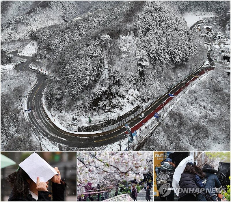 봄눈도 일상? 올봄 날씨 '변화무쌍'…펄펄 끓던 바다는 식어 (출처=연합뉴스)