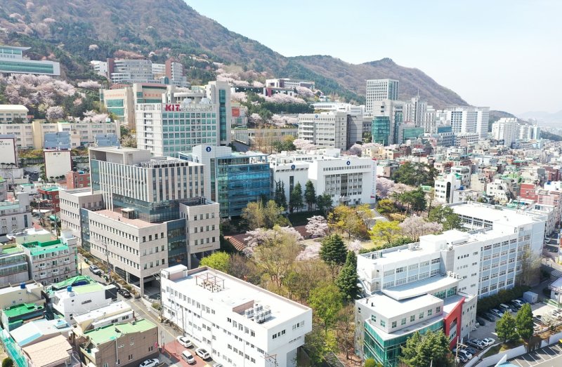 [부산=뉴시스] 부산 사상구 경남정보대학교. (사진=경남정보대 제공) *재판매 및 DB 금지
