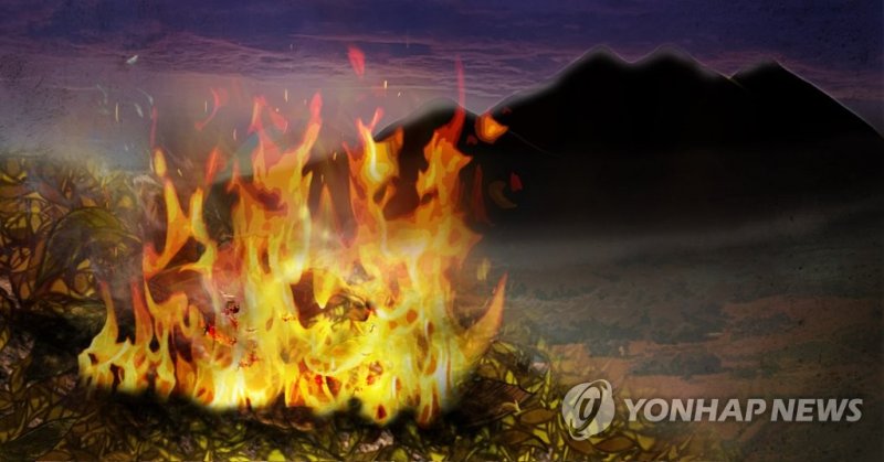 화재 산불(PG) (출처=연합뉴스)