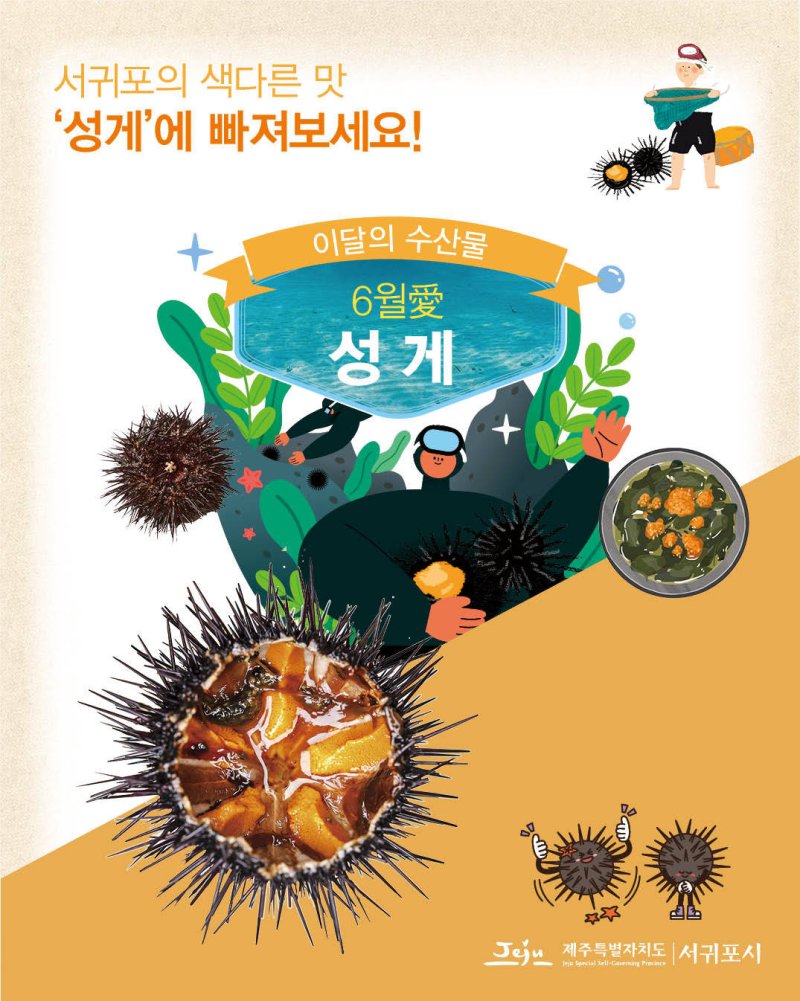 서귀포시 '6월의 수산물' 제철 맞은 성게 선정
