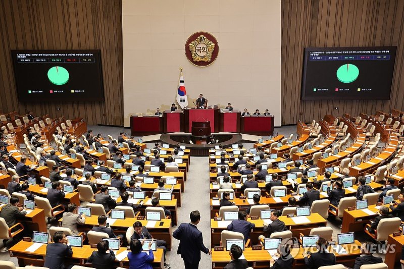 김건희 여사 특검법 본회의 통과 (출처=연합뉴스)