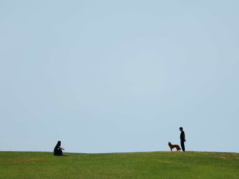 환경의 날이자 절기상 망종(芒種)인 지난 5일 오후 서울 송파구 올림픽공원'에서 시민이 반려견과 함께 산책을 하고 있다. 2025.6.5/뉴스1 ⓒ News1 황기선 기자