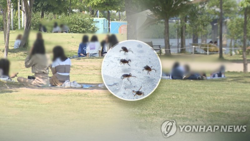 야외 나들이 건강하게 즐기려면…"참진드기 조심하세요" (출처=연합뉴스)