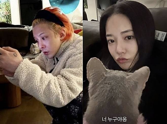 GD, 이주연과 다섯번째 열애설 "사실 아냐"