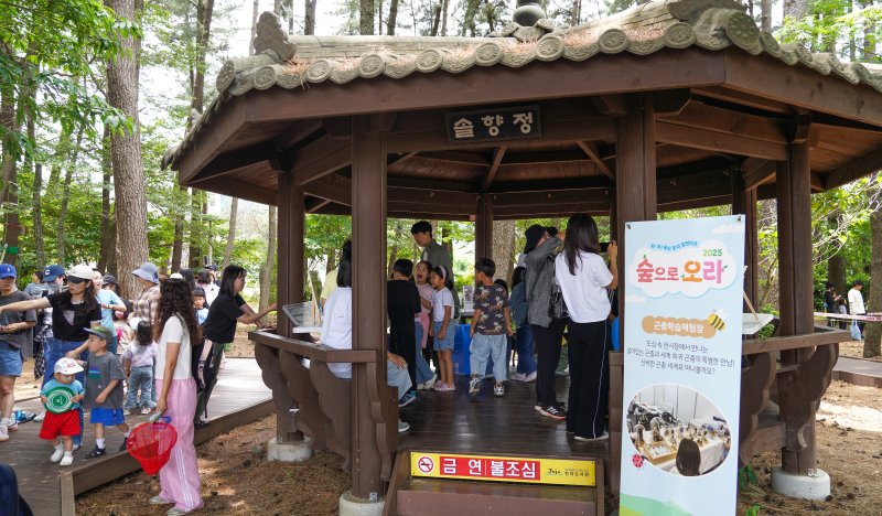 [제주=뉴시스] 우장호 기자 = 6일 제주시 한라도서관 일대에서 열린 생태체험 축제 '2025 숲으로 오라'에서 부모님과 행사장을 찾은 어린이들이 숲액티비티를 체험하고 있다.8일까지 사흘간 열리는 '숲으로 오라' 축제는 제주관광공사가 2019년부터 매년 어린이를 비롯해 동반 가족을 대상으로 자연의 가치와 환경의 중요성을 알리기 위해 여는 참여행 생태체험 행사다. 2025.06.06. woo1223@newsis.com