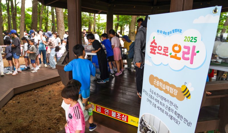 [제주=뉴시스] 우장호 기자 = 6일 제주시 한라도서관 일대에서 열린 생태체험 축제 '2025 숲으로 오라'에서 부모님과 행사장을 찾은 어린이들이 숲액티비티를 체험하고 있다.8일까지 사흘간 열리는 '숲으로 오라' 축제는 제주관광공사가 2019년부터 매년 어린이를 비롯해 동반 가족을 대상으로 자연의 가치와 환경의 중요성을 알리기 위해 여는 참여행 생태체험 행사다. 2025.06.06. woo1223@newsis.com