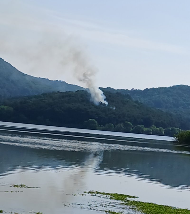 7일 오전 8시35분께 전북 고창군 공읍면의 한 야산에서 불이 나 1시간 20여분 만에 꺼졌다.(산림당국 제공. 재판매 및 DB금지)2025.6.7/뉴스1