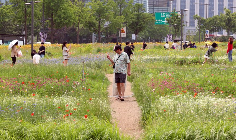 초여름 날씨를 보인 7일 서울 종로구 열린송현공원에서 시민들이 꽃밭을 걸으며 나들이를 하고 있다. 기상청은 당분간 전국 대부분 지역의 낮 기온이 25도 이상으로 오르고, 특히 내륙은 30도 이상으로 오른다고 예보했다. 2025.6.7/뉴스1 ⓒ News1 김명섭 기자