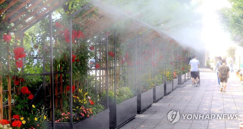 무더운 날씨…. 시원한 물안개길 (출처=연합뉴스)