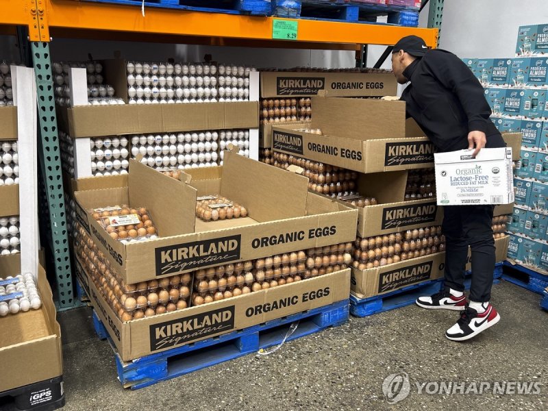 유기농 달걀 (출처=연합뉴스)