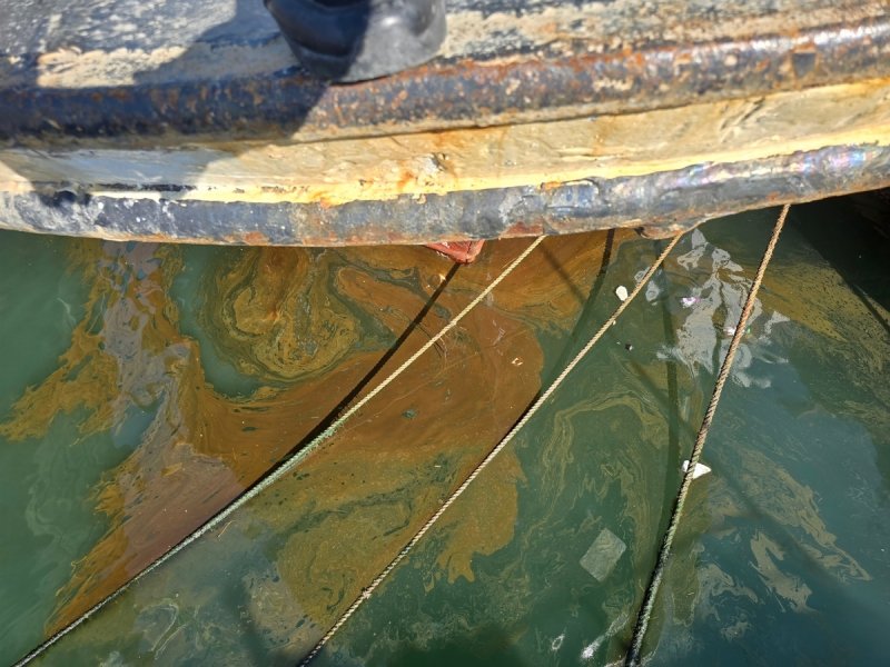 연료유 해상 유출 (출처=연합뉴스)