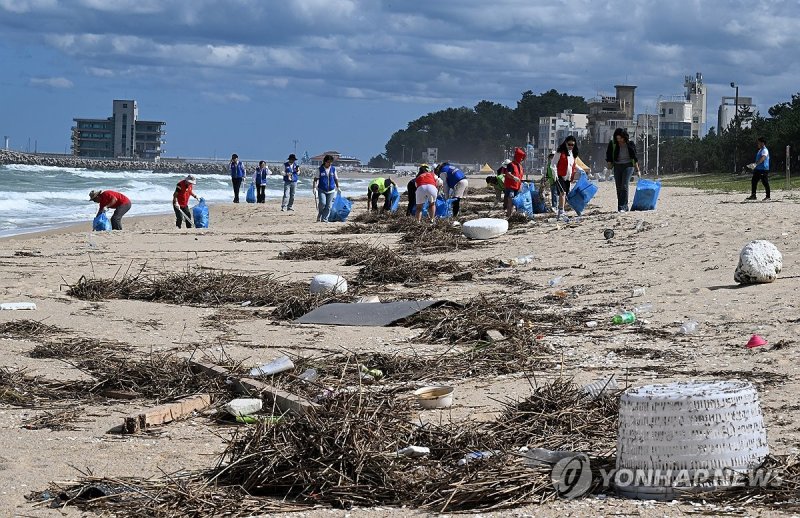해변 쓰레기 청소하는 자원봉사자들 (출처=연합뉴스)