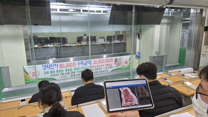 [세종=뉴시스]부경축산물공판장에서 중도매인이 소 도체 사진을 보며 축산물 온라인 경매에 참여하고 있다. (사진=축산물품질평가원 제공) *재판매 및 DB 금지