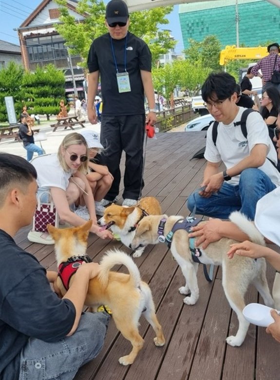 '멍멍이랑 군산에서의 하루, 멍군의 하루' 프로그램 참여자들 (사진=군산시 제공) *재판매 및 DB 금지