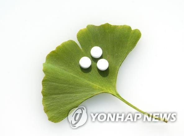 은행나무잎 추출물 (출처=연합뉴스)