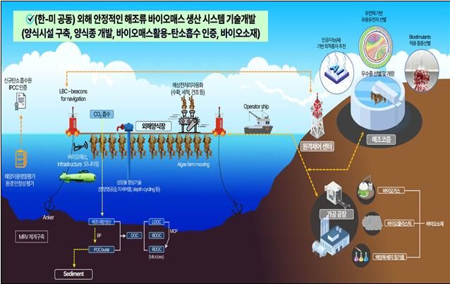 인천시, 한·미 공동 추진 블루카본 국가공모사업 선정