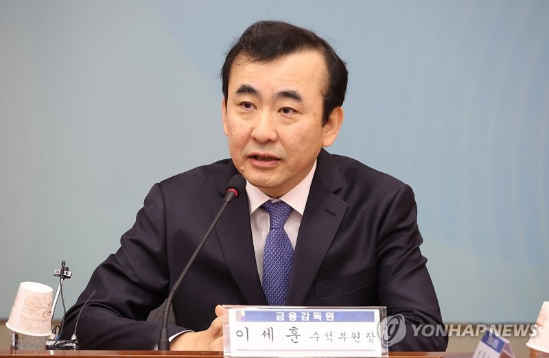 발언하는 이세훈 금융감독원 부원장 (출처=연합뉴스)