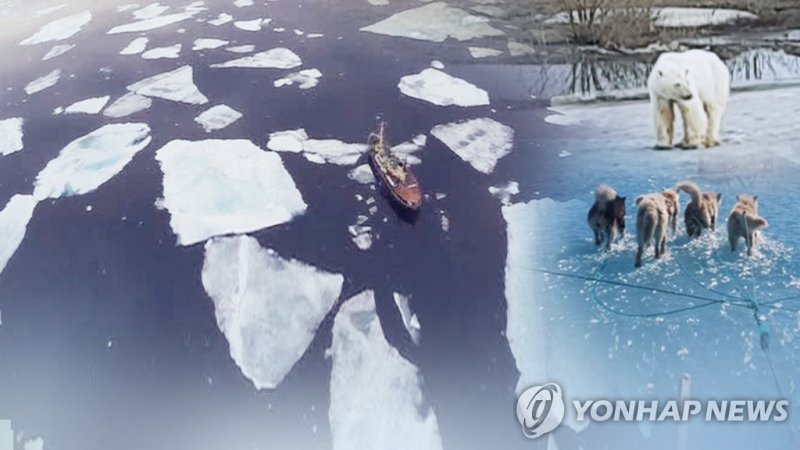 "북극이 녹고 있어요" (CG) (출처=연합뉴스)