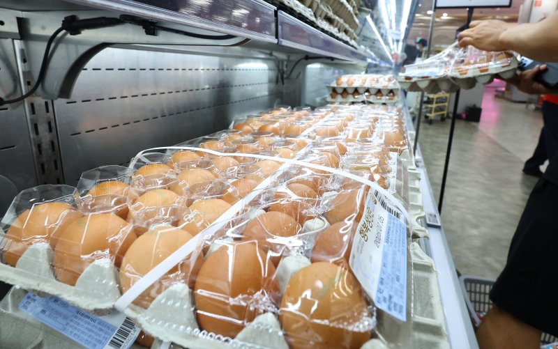 계란한판 7000원 ..."생산 늘어도 8월까지 가격 고공행진 예고"