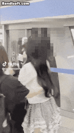 "공항서 걸그룹과 부딪히자 경호원이 팔꿈치로 '퍽'"..연예인 과잉경호 또 논란