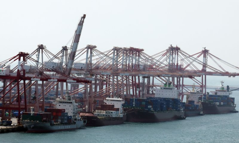 [부산=뉴시스] 하경민 기자 = 부산 남구 신선대부두에서 수출입 컨테이너 선적 및 하역작업이 진행되고 있다. 2025.05.12. yulnetphoto@newsis.com