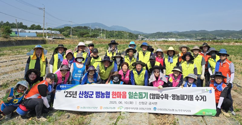 [산청=뉴시스] 산청군농협·농협 산청군지부 농주모,고주모산청군지회 양파 수확 일손돕기 (사진=산청군농협 제공) 2025. 06. 10. photo@newsis.com *재판매 및 DB 금지